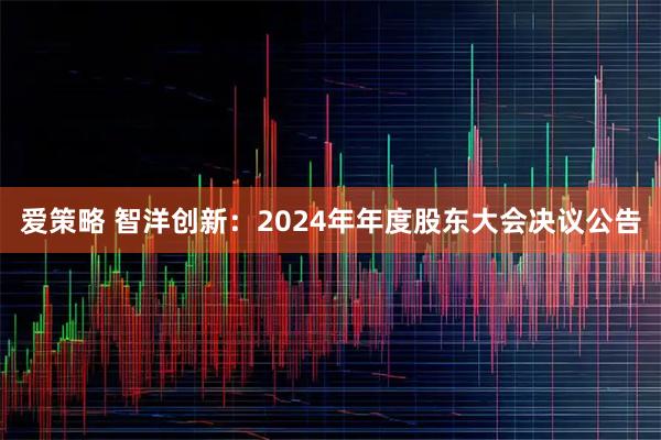 爱策略 智洋创新：2024年年度股东大会决议公告